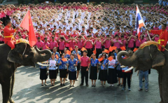 https://www.chinanews.app/uploads/allimg/200214/1_02142134595257.png