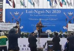 https://www.chinanews.app/uploads/allimg/200219/1_021Z93R11295.jpg