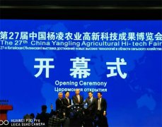 https://www.chinanews.app/uploads/allimg/201022/1-201022094242N1-lp.jpg