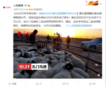 https://www.chinanews.app/uploads/allimg/201022/1_10220Q4361562.png