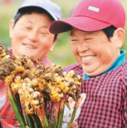 https://www.chinanews.app/uploads/allimg/201230/1_1230105254E19.jpg