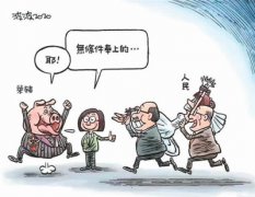 “莱猪”来了！台岛怎一