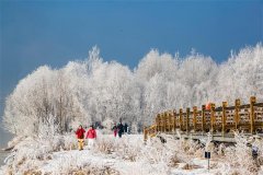 https://www.chinanews.app/uploads/allimg/210208/1-21020Q02GDX-lp.jpg
