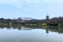 https://www.chinanews.app/uploads/allimg/210312/1-2103120U4013a-lp.jpg