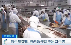 https://www.chinanews.app/uploads/allimg/210906/1-210Z6212412605-lp.png