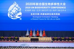 https://www.chinanews.app/uploads/allimg/211012/1_101216041H015.jpg