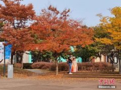 https://www.chinanews.app/uploads/allimg/211104/1_11041634214039.jpg