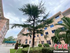 https://www.chinanews.app/uploads/allimg/211104/1_1104163G449B.jpg
