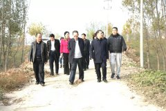 https://www.chinanews.app/uploads/allimg/211108/1-21110Q20153437-lp.jpg