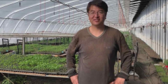 中国移民到加拿大后转型