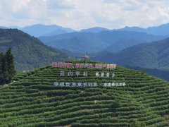 https://www.chinanews.app/uploads/allimg/220808/1-220PQ6000NT-lp.jpg