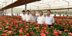 https://www.chinanews.app/uploads/allimg/220818/1-220QQ6364S48-lp.png