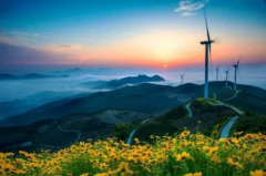 https://www.chinanews.app/uploads/allimg/220825/1_0R514305EK1.png