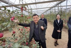 https://www.chinanews.app/uploads/allimg/221123/1-2211231RF22U-lp.jpg
