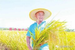 https://www.chinanews.app/uploads/allimg/221203/1_12031132042b2.jpg