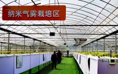 https://www.chinanews.app/uploads/allimg/230327/1_032GR551DK.jpg