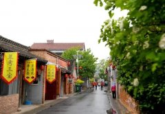 https://www.chinanews.app/uploads/allimg/230423/1_042320091553D.jpg