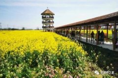 https://www.chinanews.app/uploads/allimg/230427/1-23042FR334435-lp.jpg
