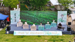 https://www.chinanews.app/uploads/allimg/230514/1-2305142352191V-lp.png