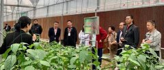 https://www.chinanews.app/uploads/allimg/230524/1-2305240T051428-lp.jpg