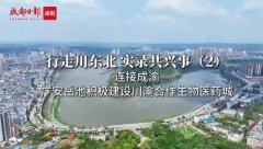 https://www.chinanews.app/uploads/allimg/240401/1-2404011A55bZ-lp.jpg