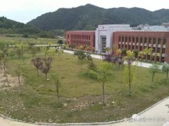 https://www.chinanews.app/uploads/allimg/240405/1-240405223KKK-lp.jpg