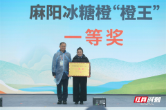 https://www.chinanews.app/uploads/allimg/241126/1-2411260026213a-lp.png