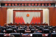 https://www.chinanews.app/uploads/allimg/241222/1-24122220334C64-lp.png